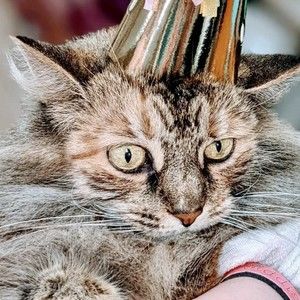 Meet your Posher, Tiffany